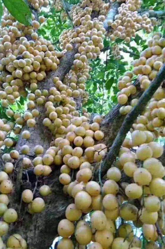 梦想起航之地,海南翱翔篇