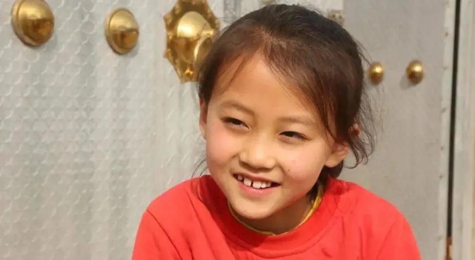 宁夏，任务完成与技能学习详细指南（初学者与进阶用户适用）