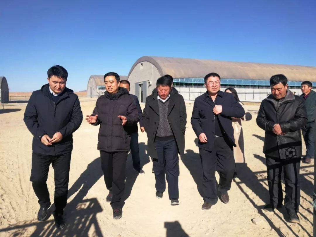 赤峰盛会，嘉宾云集，观众热情如火