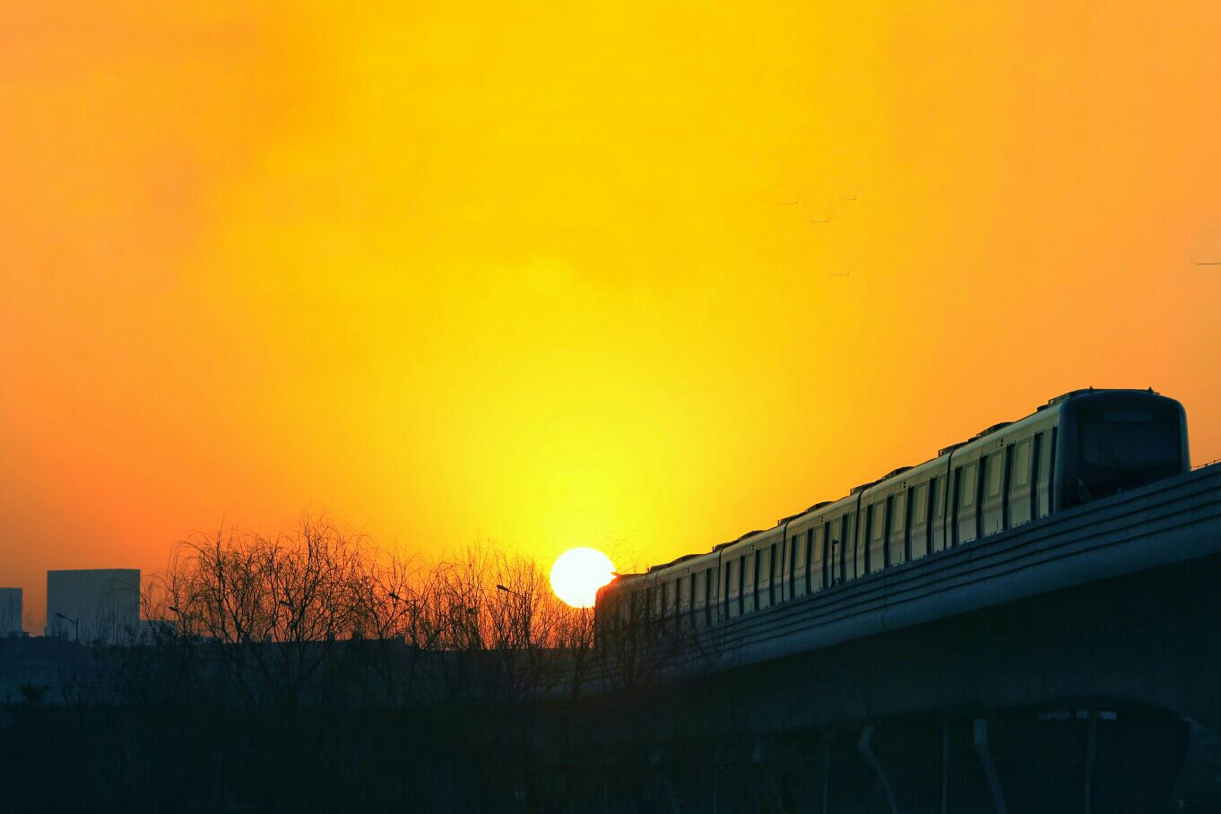 朝阳科技之光，全新高科技产品展示与介绍